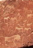 Petroglyph - Twyfeltontein