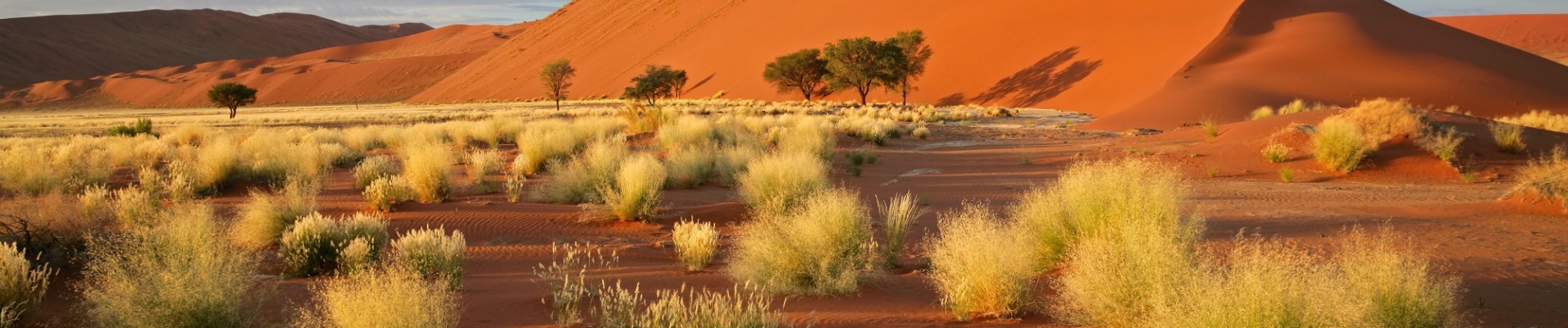 Voyage Désert Du Namib & Côte Atlantique - Namibie En Liberté