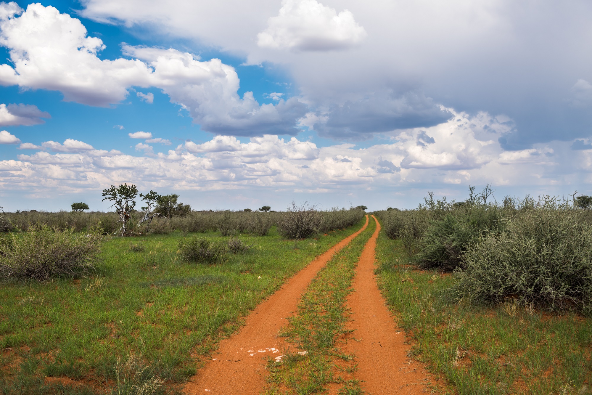 Agence Locale En Namibie Pour Une Expérience Unique Et Un Voyage Sur Mesure