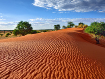 Kalahari, Namibie