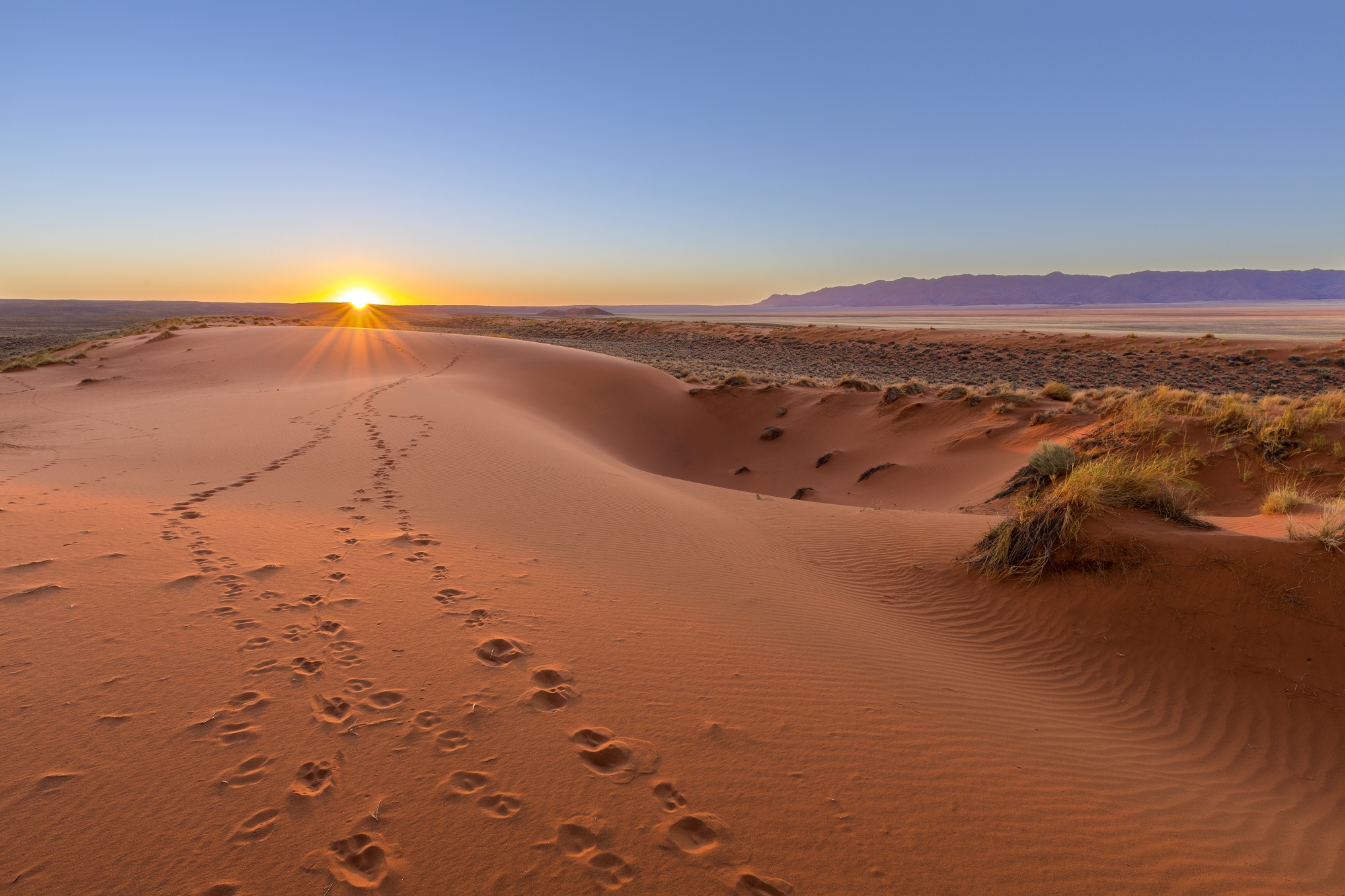 Trekking En Namibie - Randonnée Dans Le Kalahari