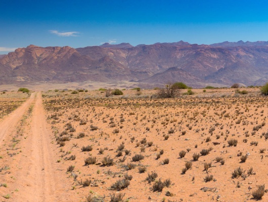 conseil voyage namibie