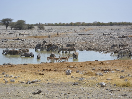 conseil voyage namibie