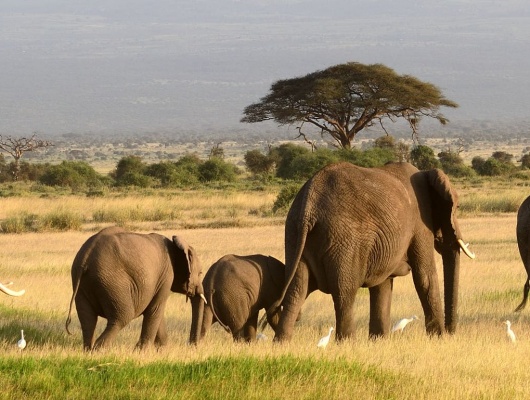 conseil voyage namibie