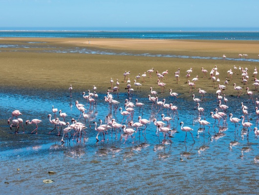 conseil voyage namibie