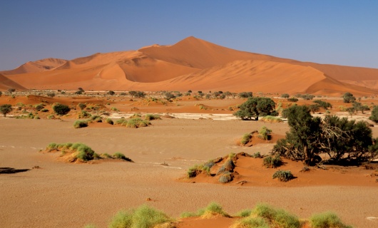 Quand Partir En Namibie ? - Namibie En Liberté