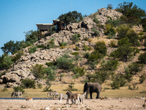 Etosha