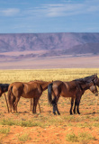 namibie-desert-aus