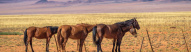 namibie-desert-aus